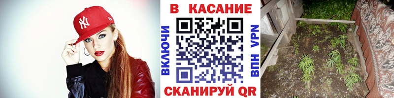 APVP Никольск