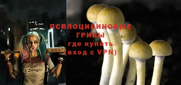 молекула духа Бронницы