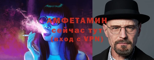 молекула духа Бронницы