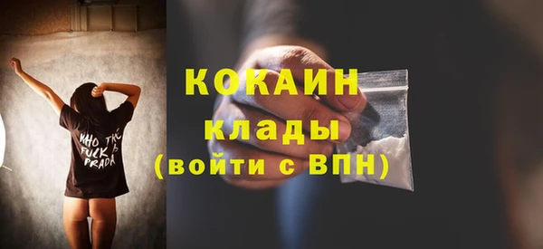 молекула духа Бронницы