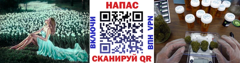 Купить закладки  Никольск  Канабис VHQ 